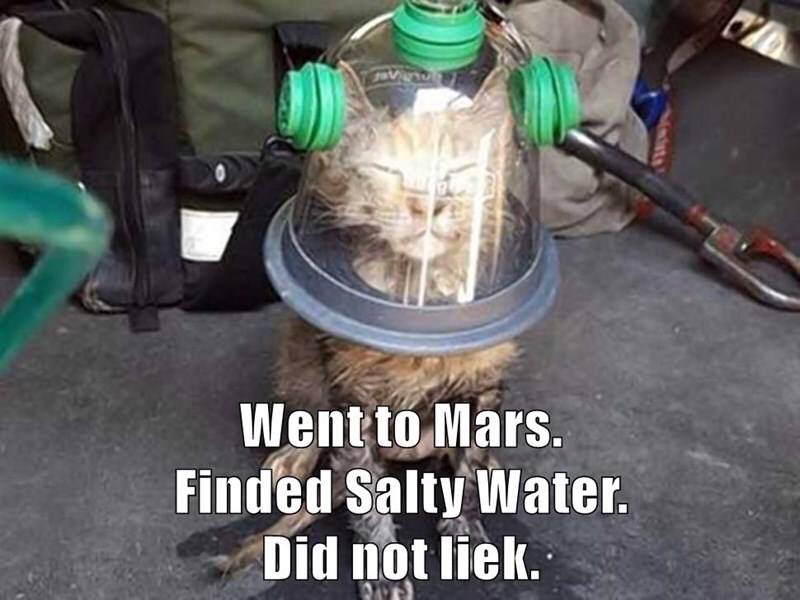 Astro_Cats's tweet photo. #cats on #Mars. #NASA https://t.co/UjemFURc4g