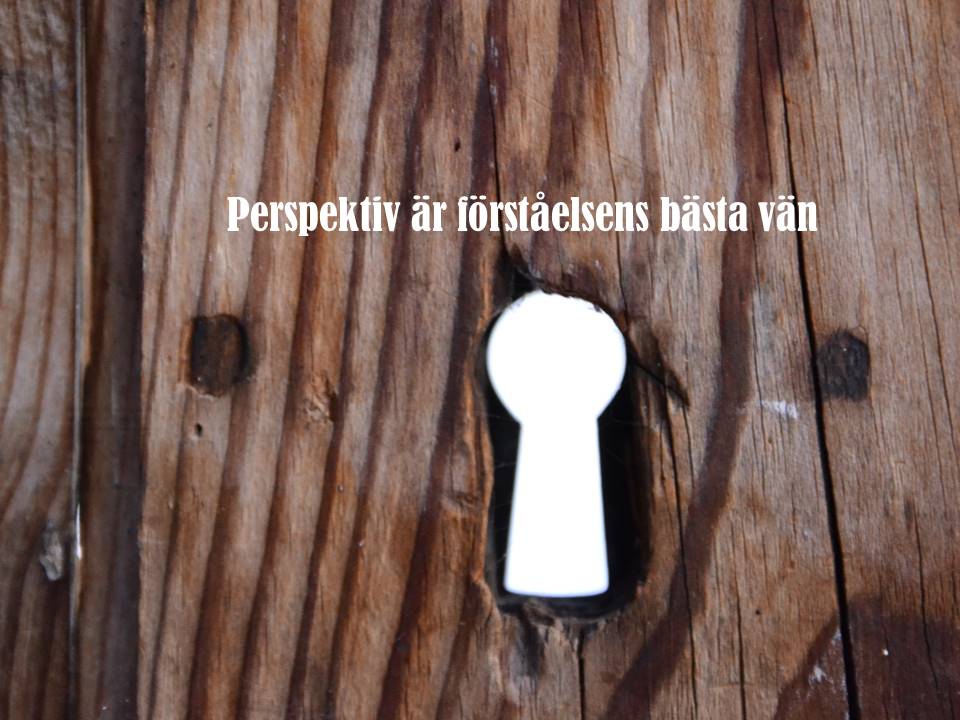Perspektiv är förståelsens bästa vän