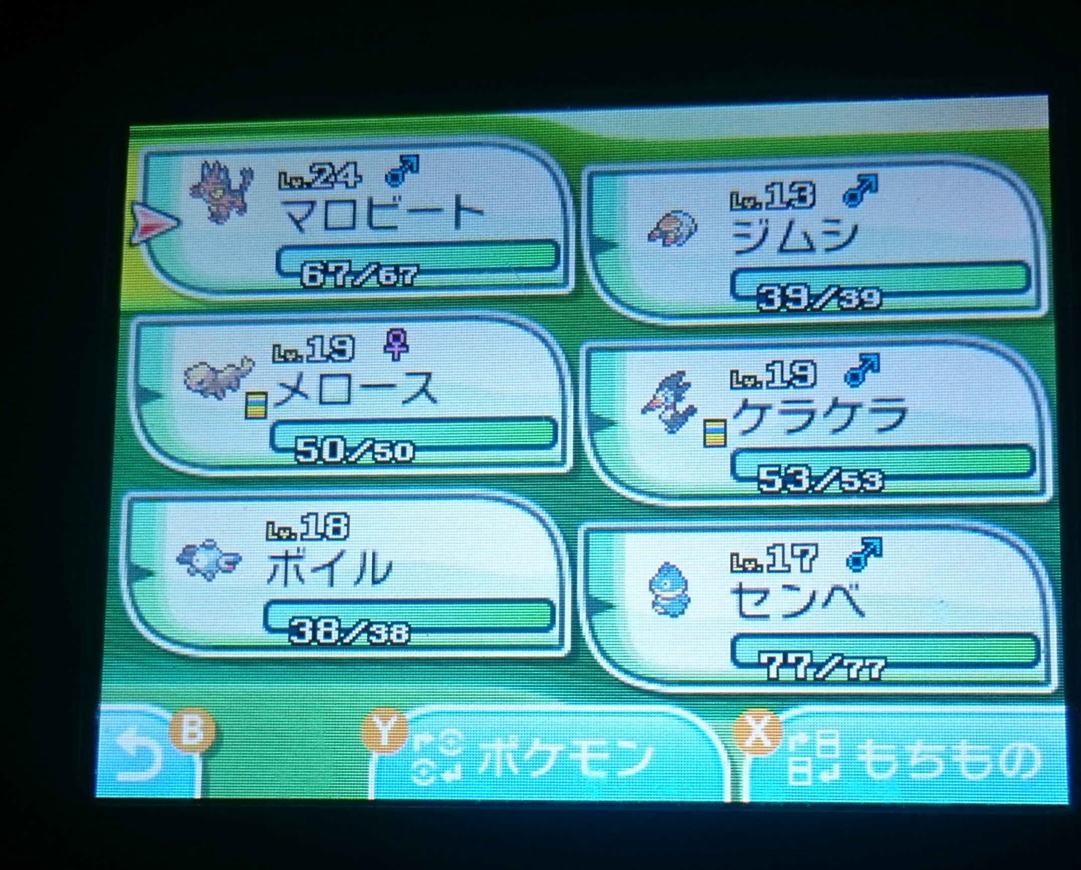 ポケモンパーティ Twitter Search Twitter