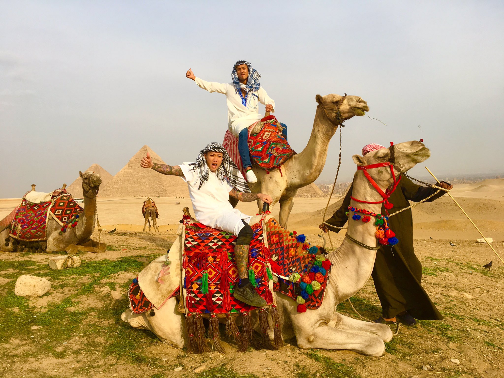 エジプトのグルデンラクダ