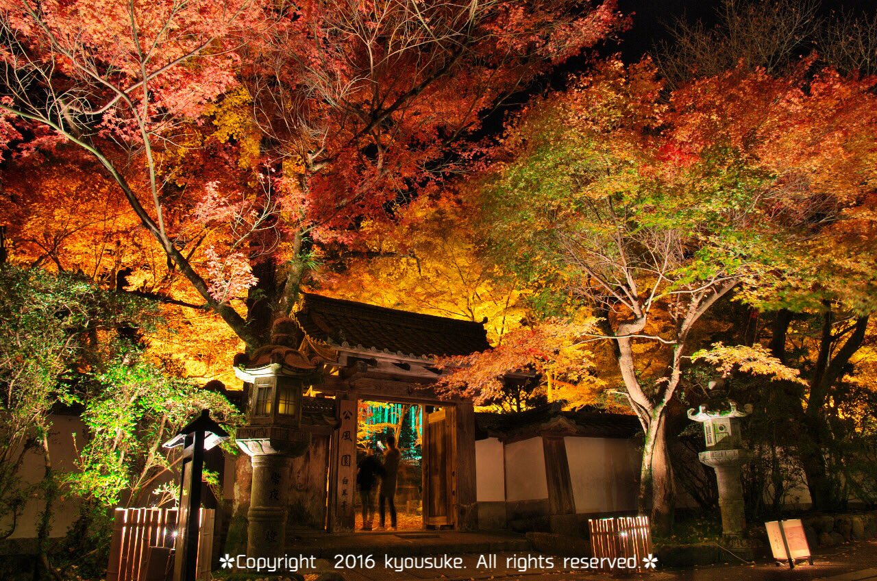 ふぁぼぴく きょうすけ 石山寺 紅葉ライトアップ 紅葉ライトアップ 今年はもう石山寺だけでお腹いっぱいーな感じです 写真好きな人と繋がりたい T Co Aisqj9qnvh Twitter