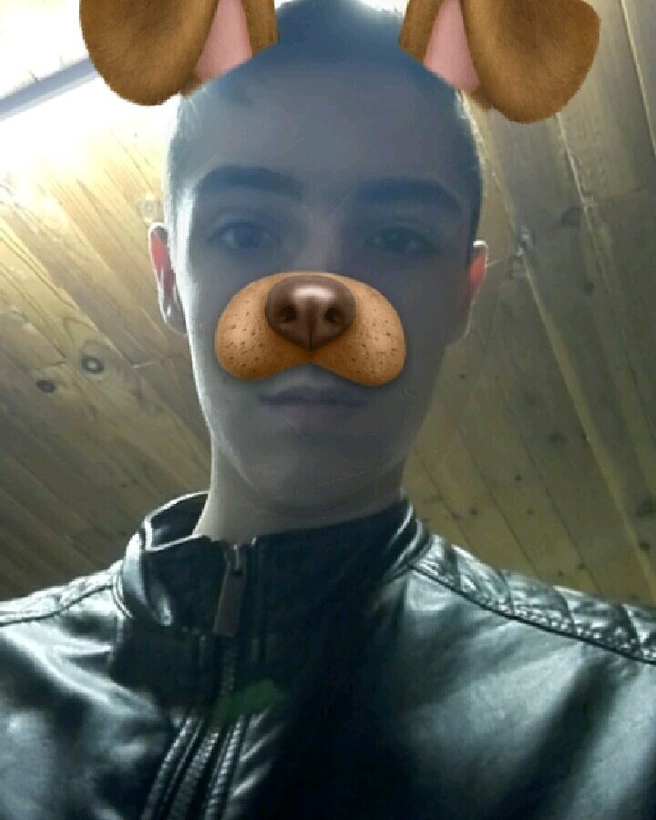 loic_bourloo's tweet photo. Maintenant mode chien lol 🐶
#toutou #chien https://t.co/PbuzBnJxEO
