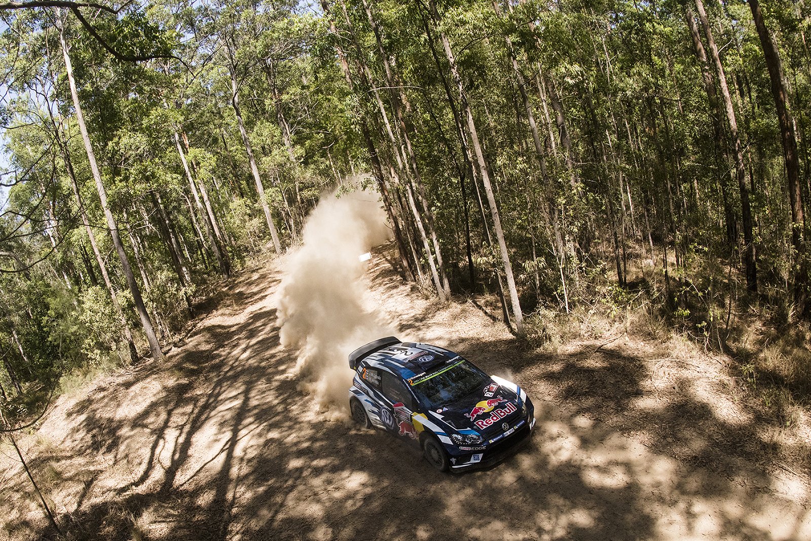 Rally de Australia 2016 - Página 3 CxnlfrzW8AA096_