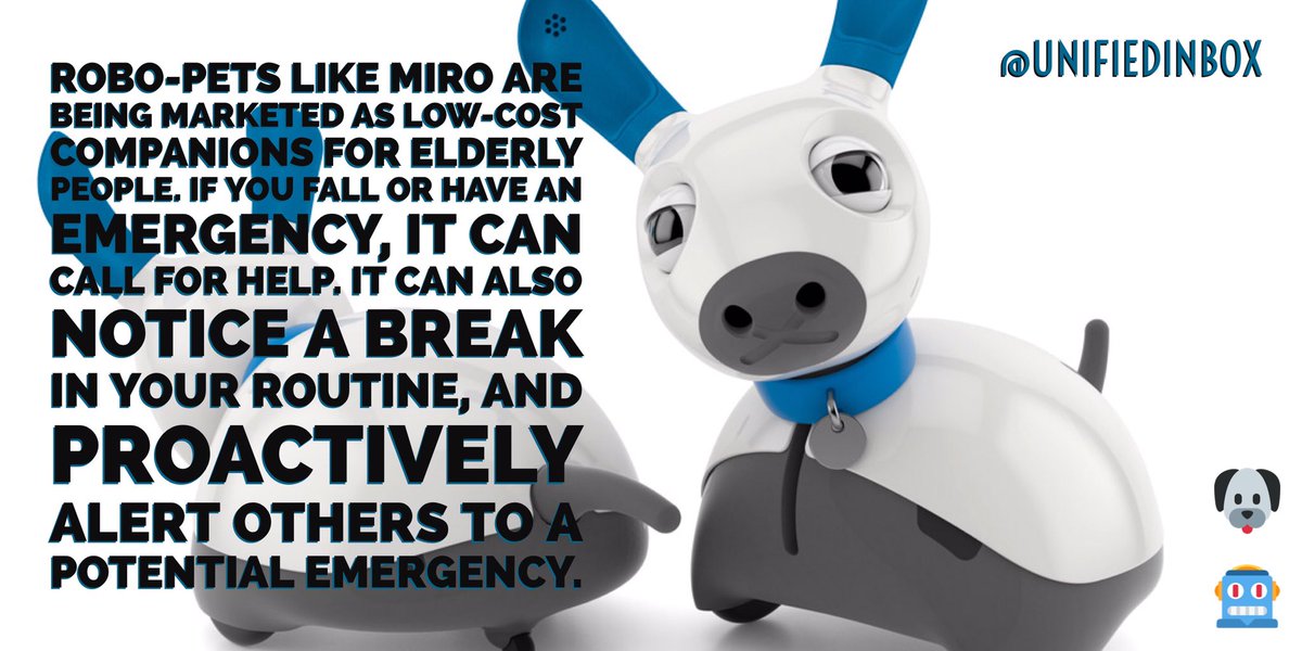 Toby Ruckert tweet media