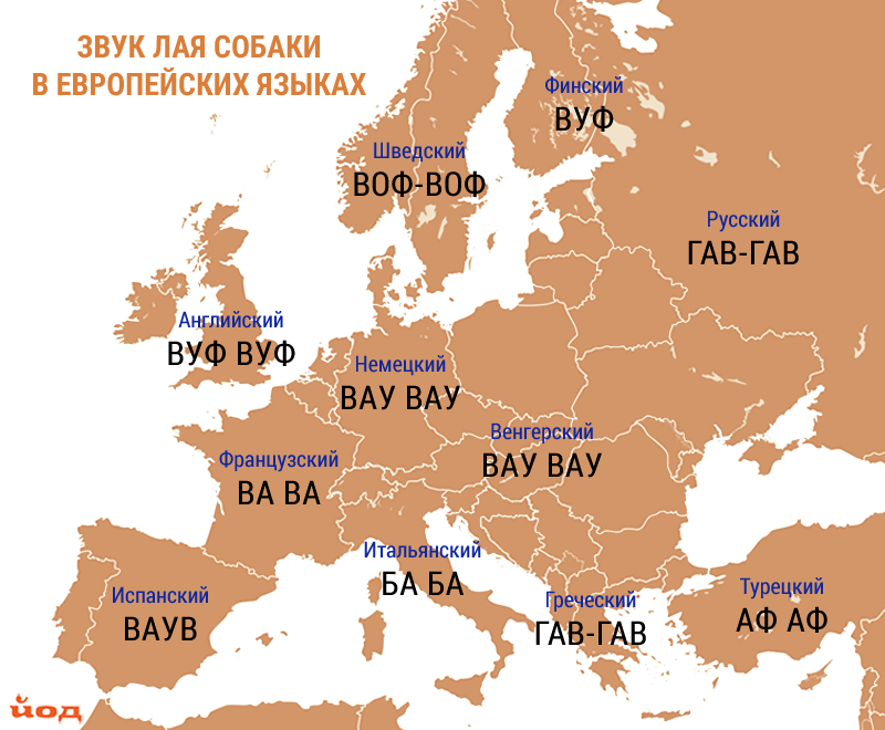 Слова европейских языков. Собака на разных языках. Как называют котов в разных странах. Кот на разных языках Европы. Карта собака на разных языках.