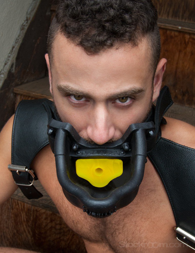 PervPiss's tweet image. I have a real treat for you pigs. From my store in Dublin to all over the EU(incl. UK) 220€ direct msg 4 details #piss