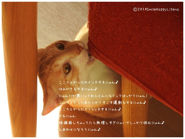 Twitterで画像を見る