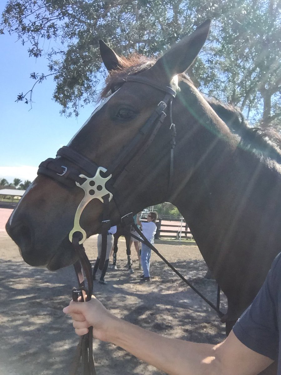 Grooms out of the show grooms hard walked on Buzova 48 Grooms out of the show grooms hard walked on Buzova 12