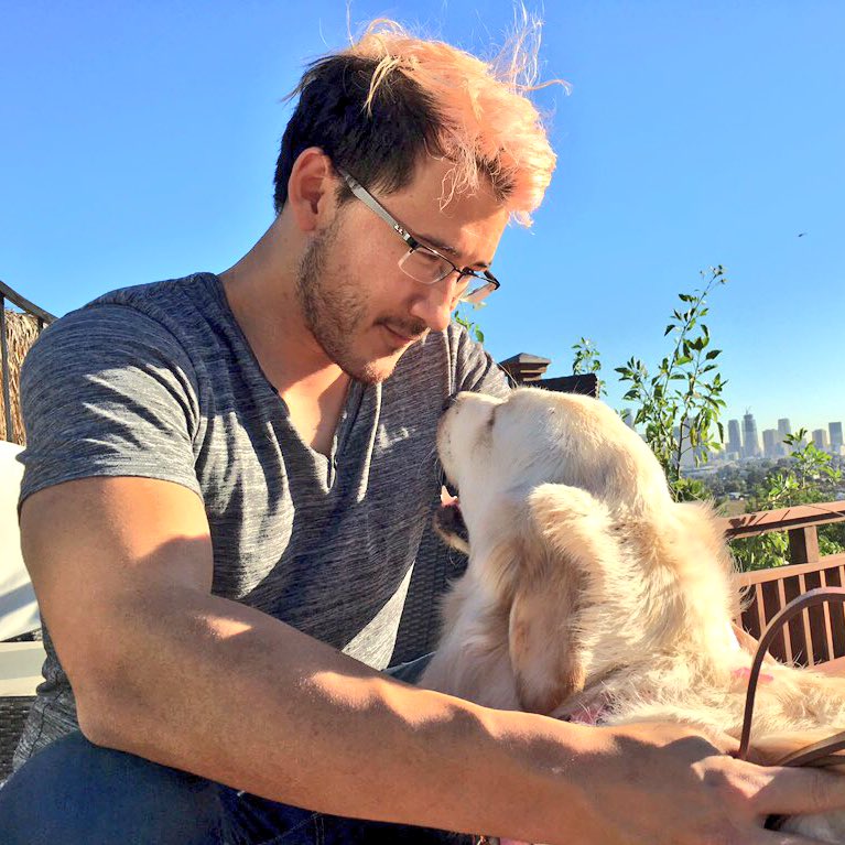 markiplier's tweet image. Chica has been with me for 1 year as of today! You&apos;ve brought me endless joy and endless poops! Wouldn&apos;t trade you for the world!