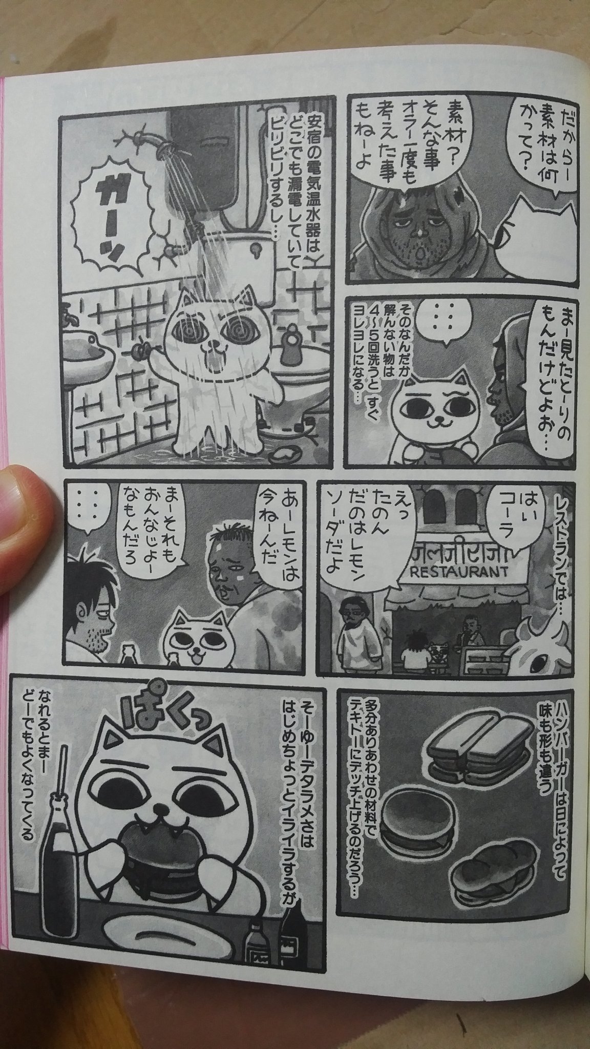 道野かれは Twitterissa 10年も前だし 語弊もあるが ガロ系漫画家ねこぢる先生の名言 日本もインドみたいなデタラメな国になっちゃえばいーのにな ぢるぢる旅行記って漫画 歯に衣着せぬ言動で 気持ちの良い内容なので ぜひ読んでみてください ねこぢる