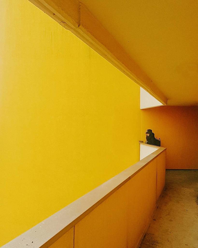 leo8x's tweet photo. #yellowwar #Berlin
#galaxys7edge https://t.co/VjJfraXQne https://t.co/lS3ueAL8bz