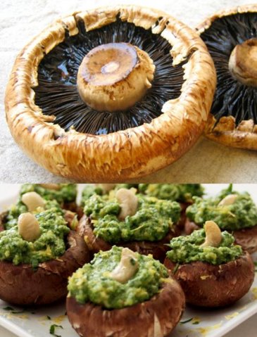 labodega27's tweet photo. #Hongos comunes rellenos con pesto: https://t.co/JUHqczbgYN #AlgoDiferente #Dieta #Vegetariano #Cambia #TipsASM https://t.co/0MzSbZCrXL