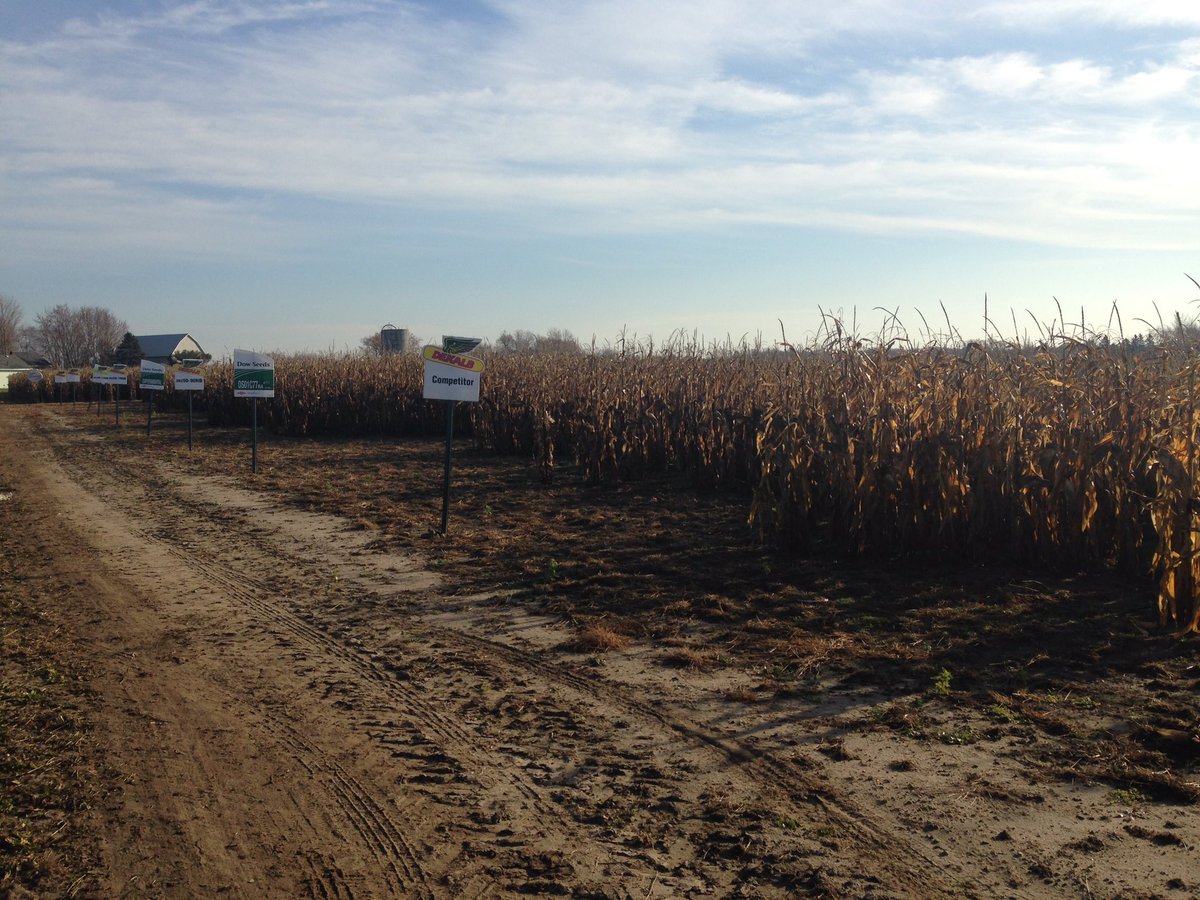 agronomyavocate's tweet photo. Another DOW vs. DeKalb plot off yesterday. DKC46-82RIB won at 209 bu/ac. #CFCPicton #Plot2016 #GrainCornHarvest https://t.co/1yVR8u4d8Z
