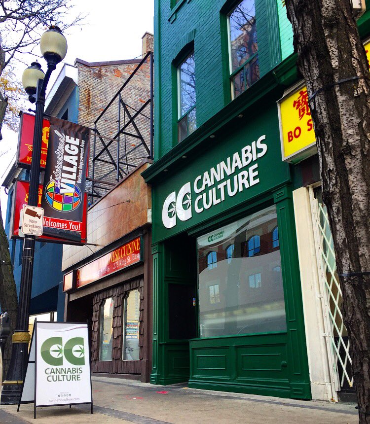 JodieEmery's tweet photo. Grand Opening of @CannabisCulture #Hamilton @ccham275 TODAY! Meet me, @MarcScottEmery &amp; fellow activists at 275 King St. East, 1-6pm!💚✌🏻️ https://t.co/USyvavwuDD