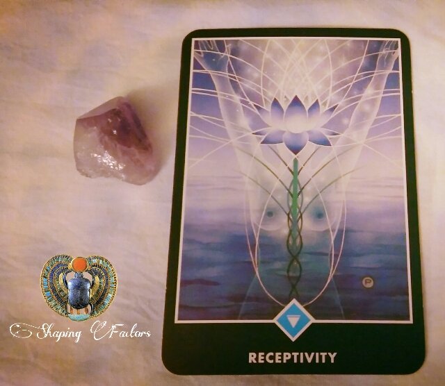 247alchemist's tweet image. #DailyOracleReading #dailytarot 11/19/2016 The energy to support your creativity is available today. Your emotions are stable. #Receptivity