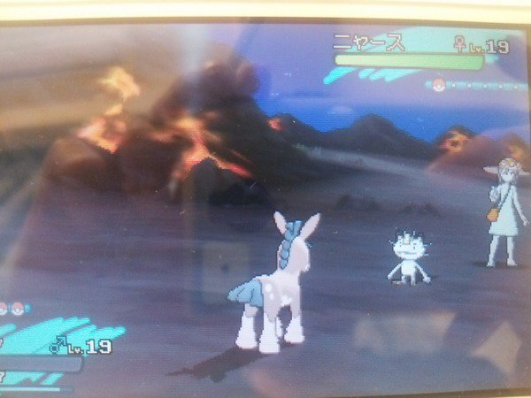 たけ坊 ウマ娘3rd参加予定 Takebo416 16年11月 Page 3 Twilog