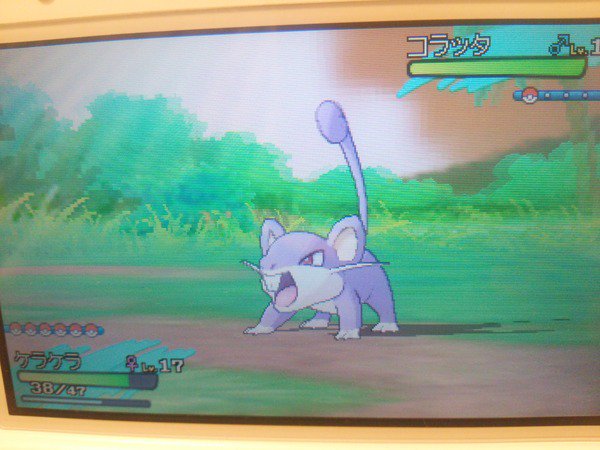 たけ坊 ウマ娘3rd参加予定 Takebo416 16年11月 Page 3 Twilog