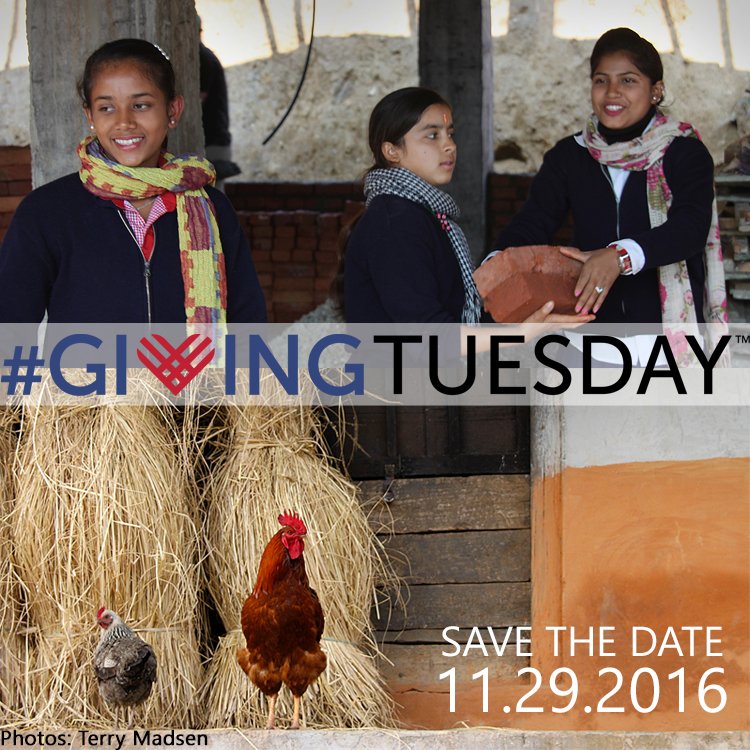 MindtheGapWorld's tweet photo. Are you a part of #GivingTuesday? It's a global day of giving for #everyone. Check out our new #Nepal initiatives at https://t.co/5kiyad4qba https://t.co/DHbRMzjYqP