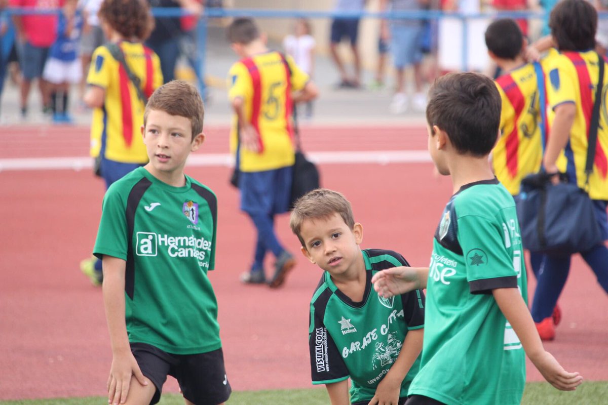 Liga Brave tweet media