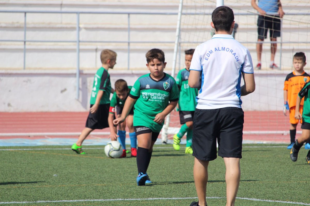 Liga Brave tweet media