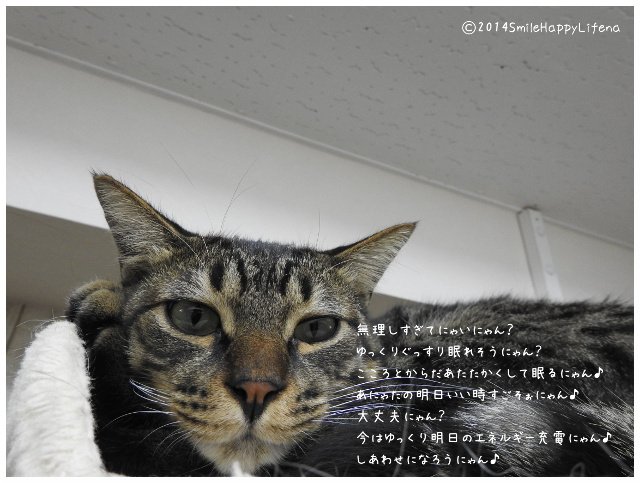 Twitterで画像を見る