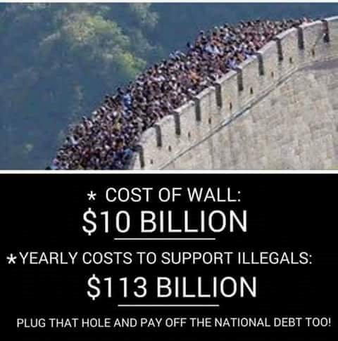 ICanPlainlySee's tweet photo. Sovereignty is meaningless without border protection. Everything Leftists do destroy freedoms and democratic peace. https://t.co/ctVRRUoBSA
