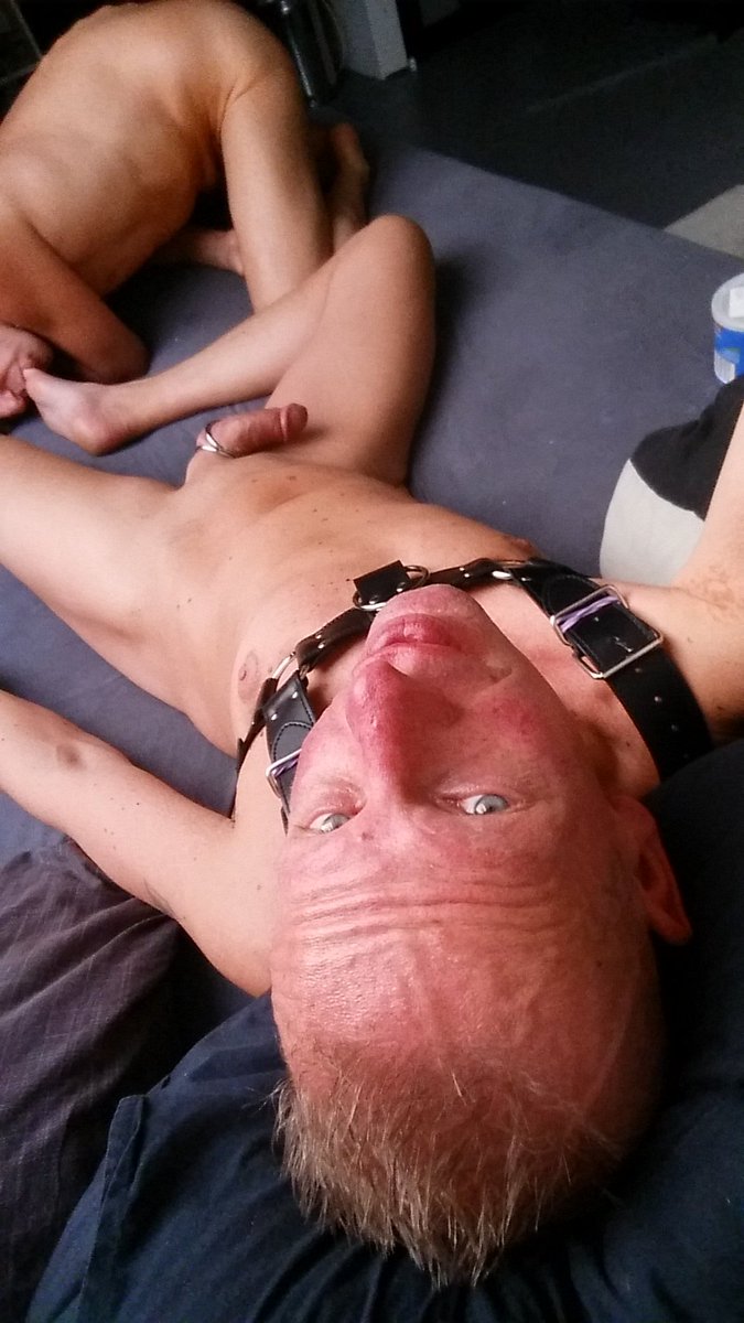 slaverotterdam's tweet photo. Wanna learn to be my slave? #duchmaster #dutchslave #gayslave https://t.co/HEzINRHo5q