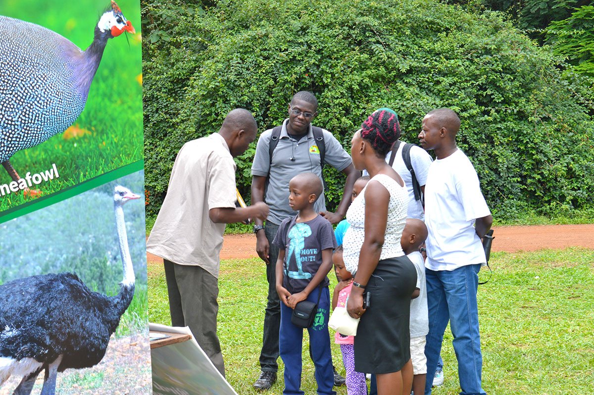 African Birding Expo tweet media