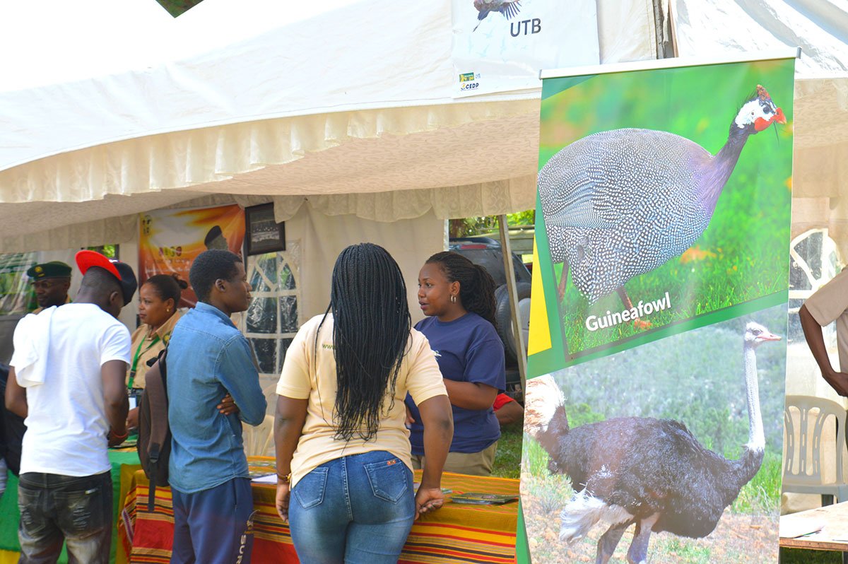 African Birding Expo tweet media