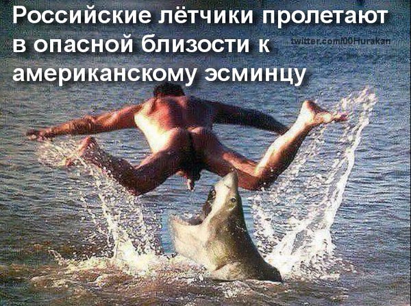 Из России пришло подтверждение, что 25 ноября должен состояться допрос Януковича в режиме видеоконференции, - Горбатюк - Цензор.НЕТ 8999