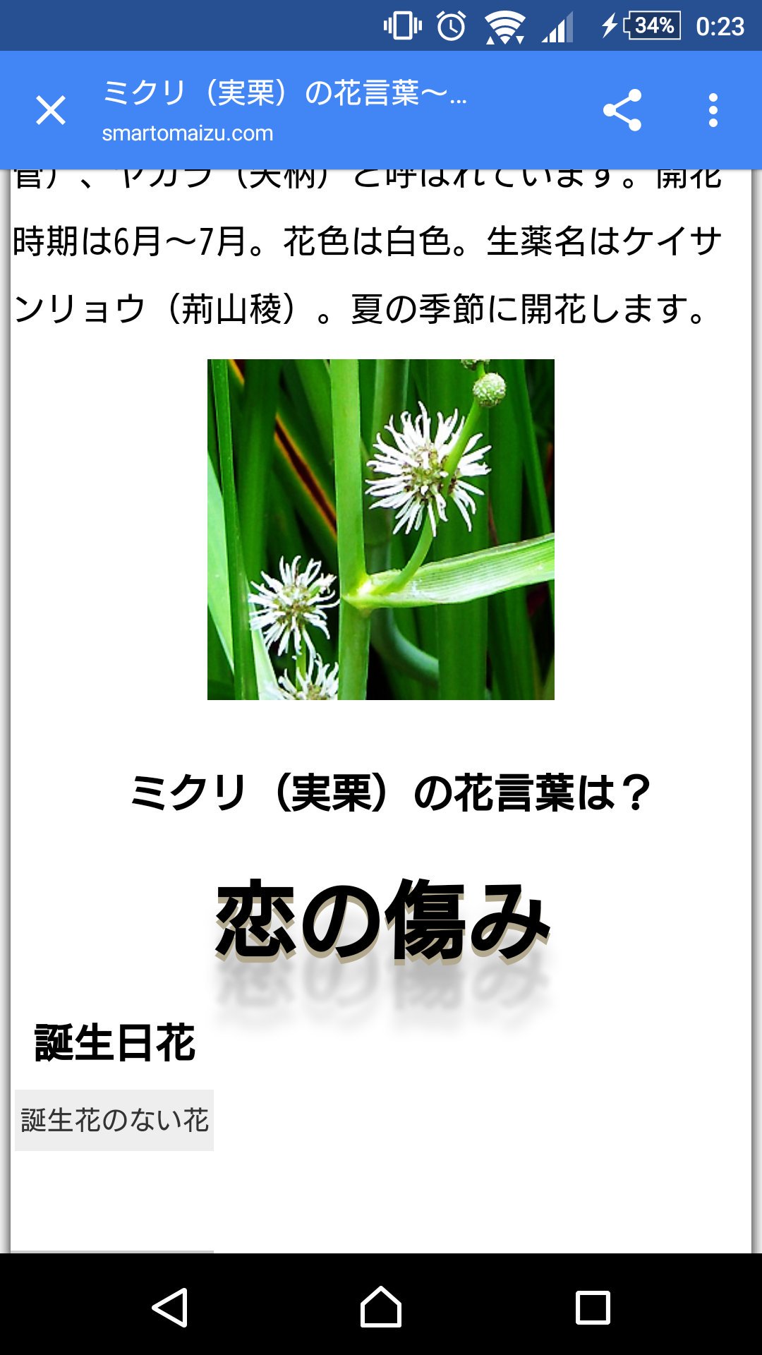 スモ子 みくりってどういう意味なのかなと思って調べてみたら 母の桜と伯母の百合と同じように植物の名前だったーーと同時に 花言葉調べたら一気にしんどくなった T Co Pdgkd3zqys Twitter
