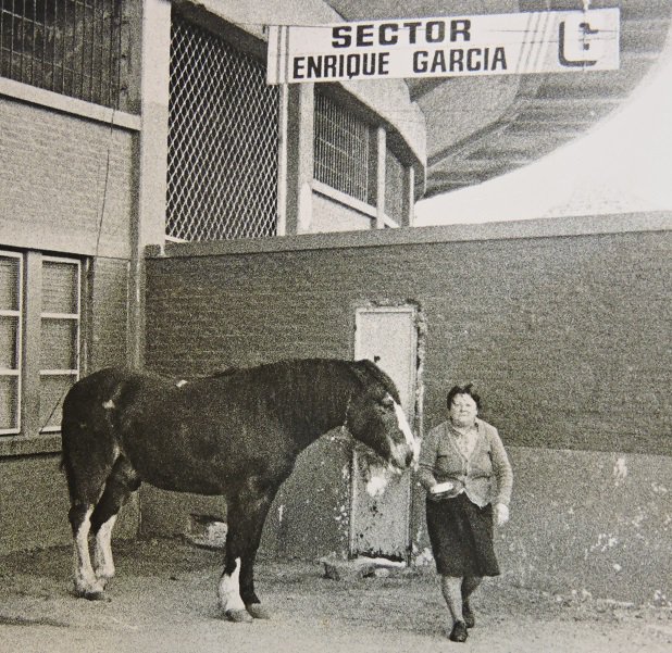 ArchivoHistorico - Revisionismo historico. - Página 4 CxosF1YW8AAUBm5