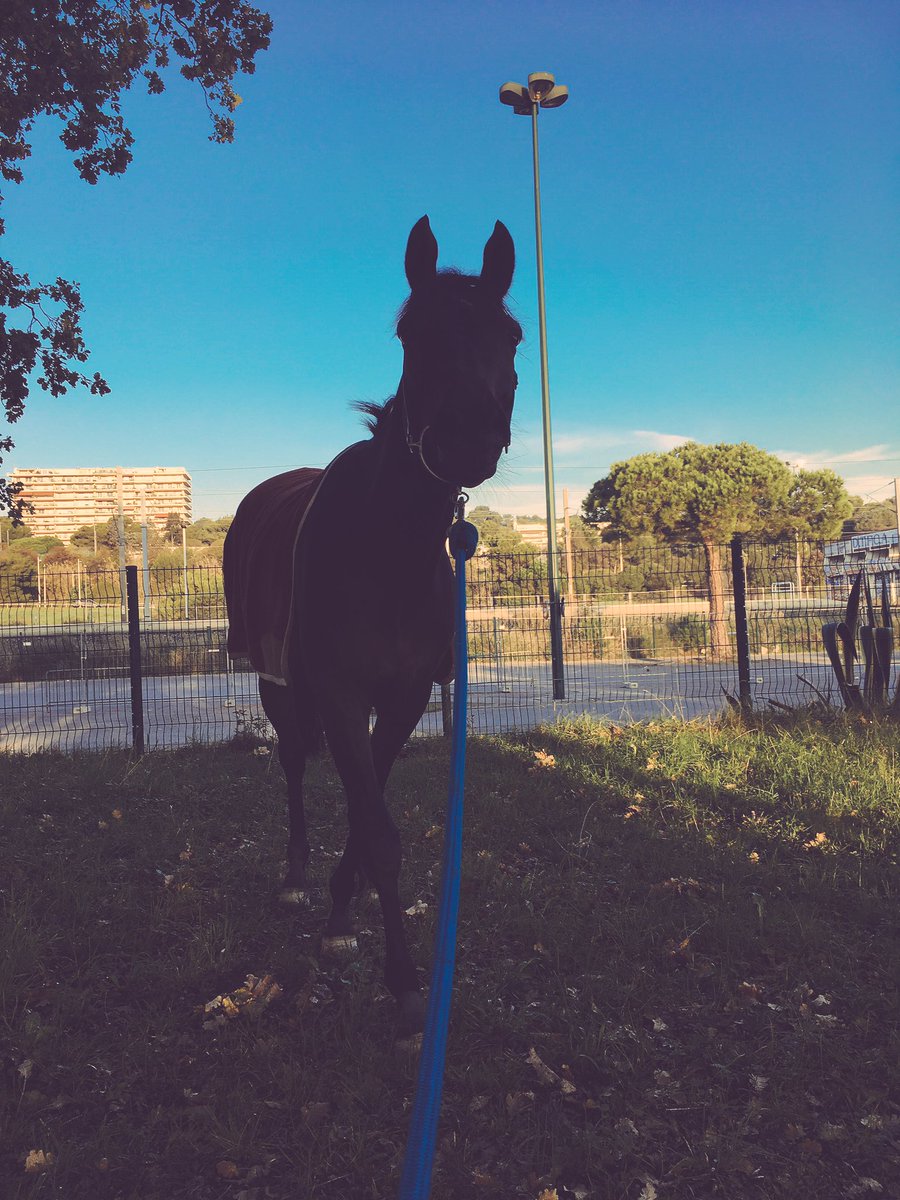 Giada menato (@menatogiada) on Twitter photo 