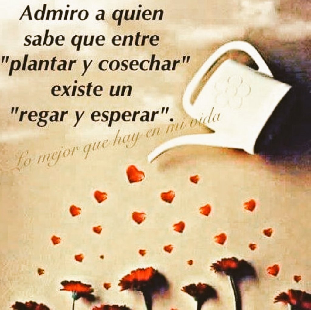 rosamarmendez's tweet photo. https://t.co/rBtu1MDynX