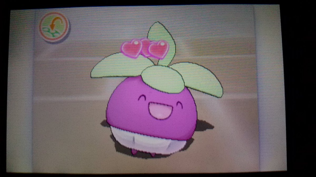 アマカジちゃん ただただ可愛い ポケリフレ