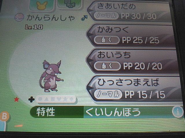 ひややっこ 色違いのコラッタ アローラのすがた をゲット サンムーンで初めて手に入れた色違いだったな 懐かしいぜ Gt Lt ポケモンgo T Co Mtpycnuzpi T Co 7jia8rgxe5 Twitter ひややっこ 色違いのコラッタ アローラのすがた をゲット サンムーンで初めて手に入れた色違いだったな 懐かしいぜ Gt Lt ポケモンgo T Co Mtpycnuzpi T Co 7jia8rgxe5 Twitter
