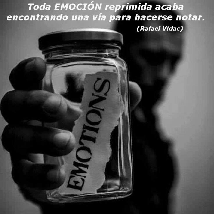 Rafael_Vidac tweet picture