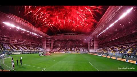tog_oficial's tweet photo. ATENÇÃO:

Vem aí o maior mosaico já feito em minas. 
Quarta feira vamos cobrir o mineirão. 

Pedimos RT. https://t.co/eo27SFRpab
