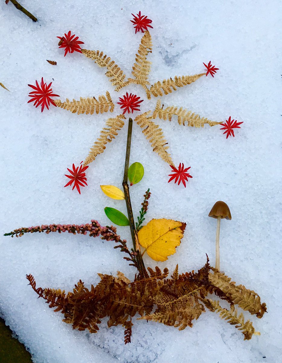 CommuniTreeOES's tweet photo. A spot of #happy #snowy #nature #art @creativeWnature @landartforkids @junomagazine @LoveIyNature @natlearn @earthmumsoulsis @TreeHugger https://t.co/zHACpuVDsF