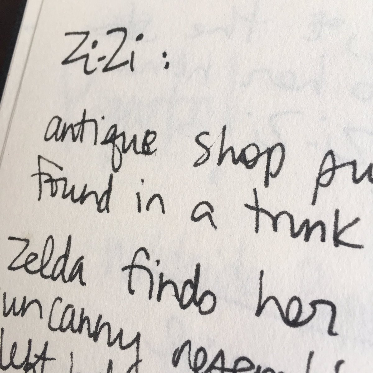 LydiaThePuppet's tweet image. As found in my human's journal a year ago: can you believe she was going to call me zi-zi?? What the hell @JessicaRaeMoo ? #puppetbrain