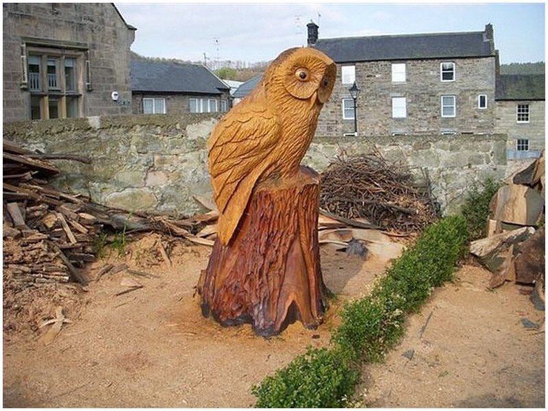 Tommy  Craggs tweet media