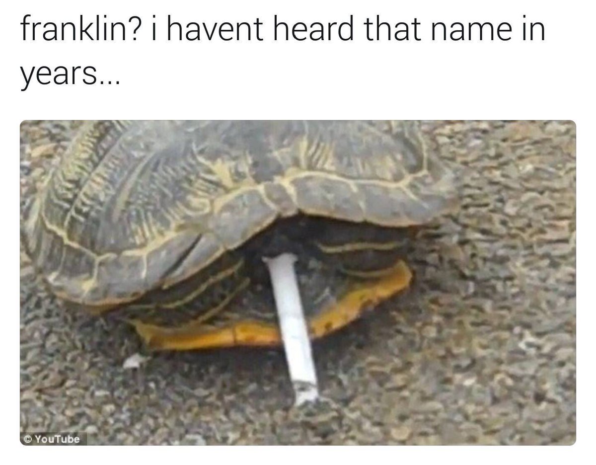 meme #funny #comedy #supermeme #lol #l4l #rt #f4f #nice #yolo #wow #good  #special #childhood #turtle #franklin