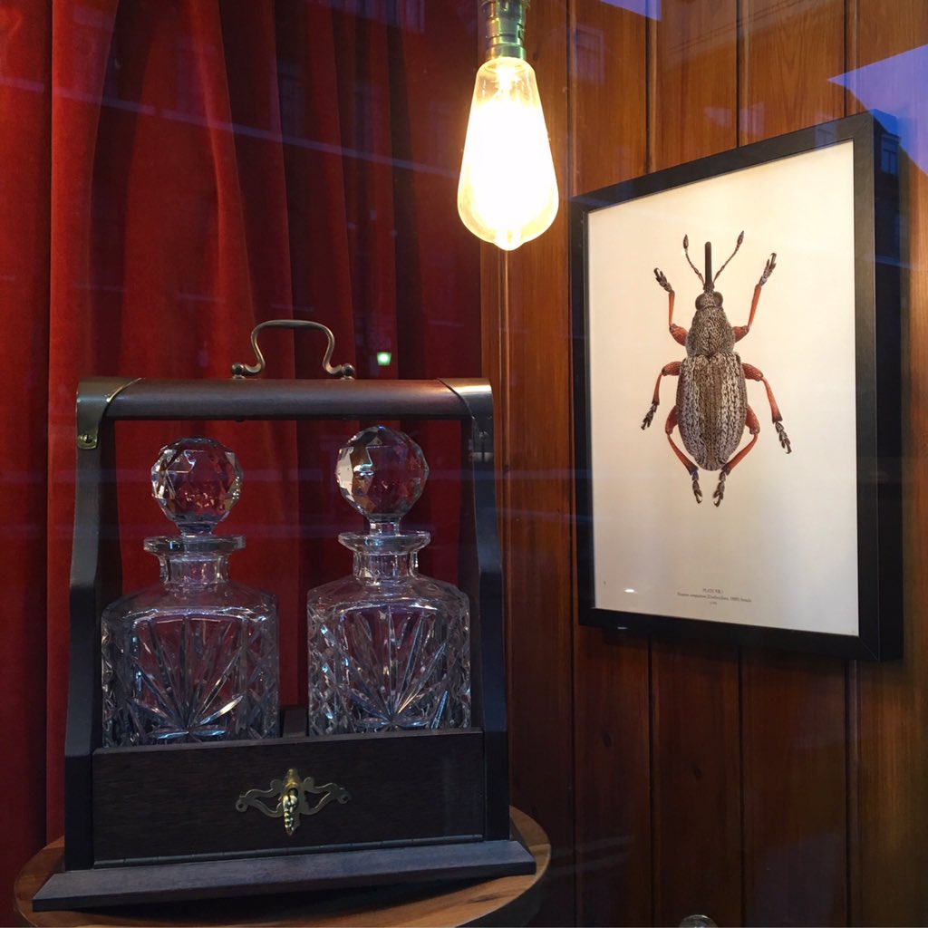 properold's tweet image. Shop window at dusk #windowdisplay #windowdisplaydesign #insectprint #tantalus #decanters #cutglassdecanter #dalston #dalstonlane