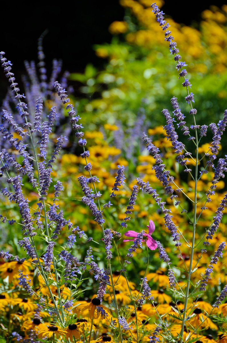 The push of time comes in the air
A cycle done, this turn all clear
The last of flowers we held dear
caslworks.com/2014/10/10/the… #poem