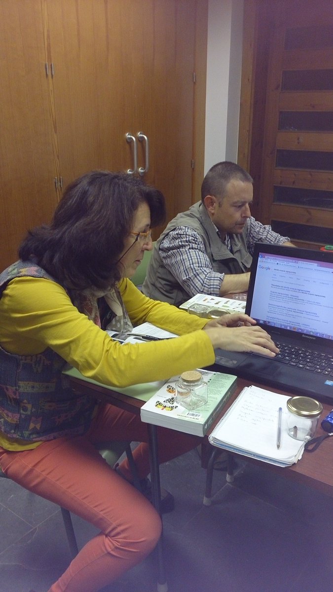 Hebenaria's tweet photo. Trabajando en los censos periódicos de polillas en la Costa Tropical. @asoc_alas #LEPIDES @MiguelOlverAlas @Begoña Fol @Hebenaria https://t.co/MvQAHYGKZR