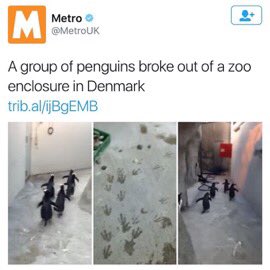 aIIthememes's tweet image. 