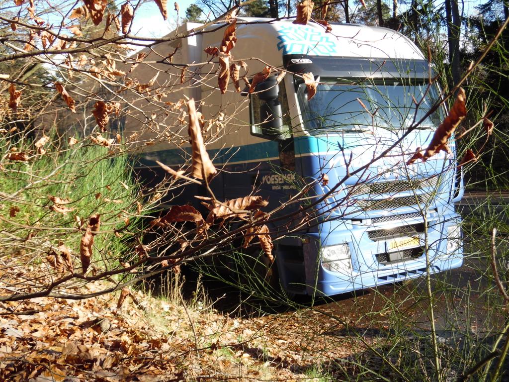 BullDutch's tweet image. Forest exploration tomorrow