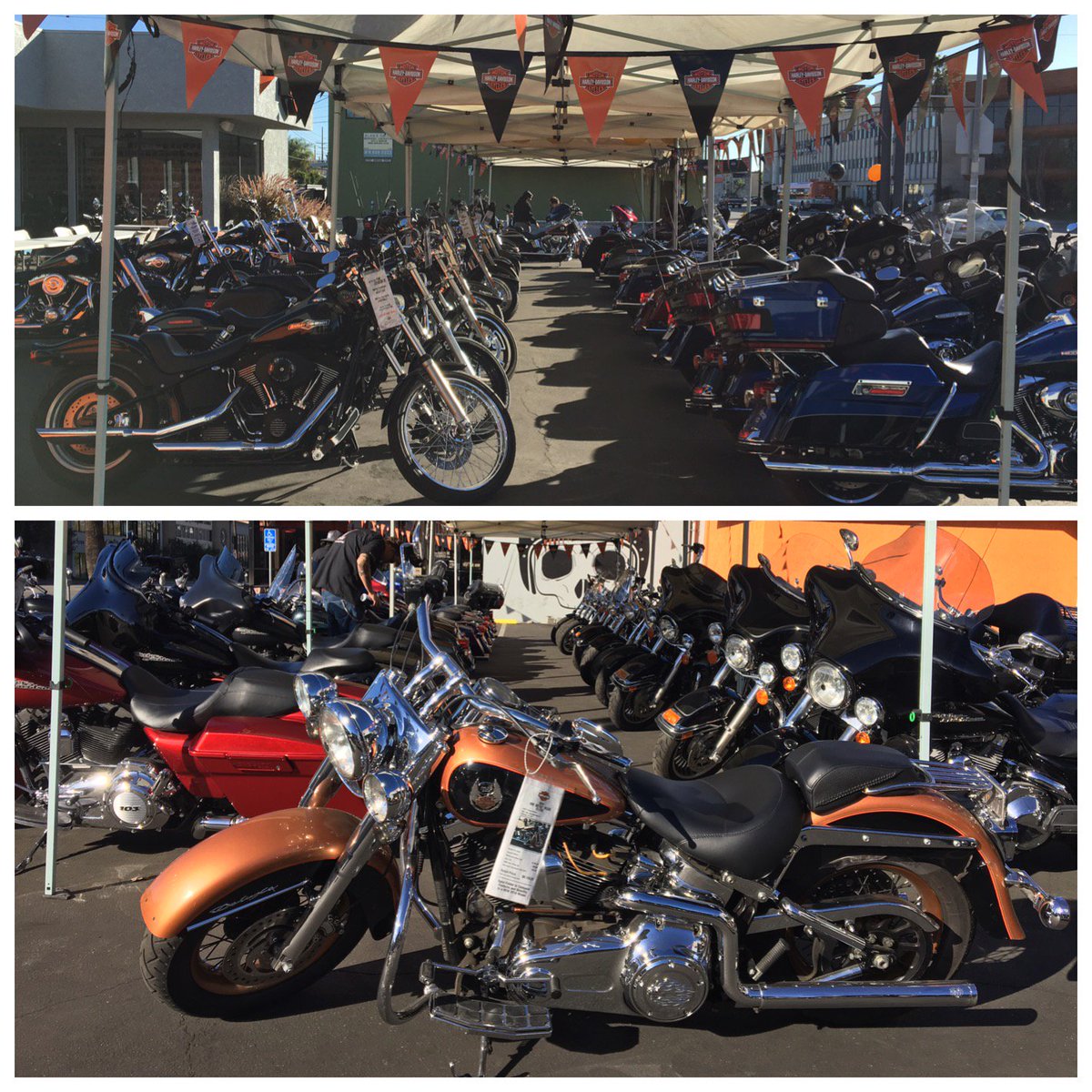 TopRockerHD's tweet photo. Our staff has been working hard this morning to set up our tent event! Come on down and say hi! #toprocker #harleydavidson #hd #motorcycles https://t.co/8X91nMDvIS