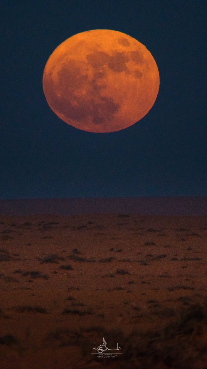 البارحه ياحمود والناس هدوا
وانا مع الهادين ماطاب هدوي
.
بان القمر في ليلة النصف وادوا
وانا معّ كثر الهواجيس مدوي
.
سعد بن جدلان