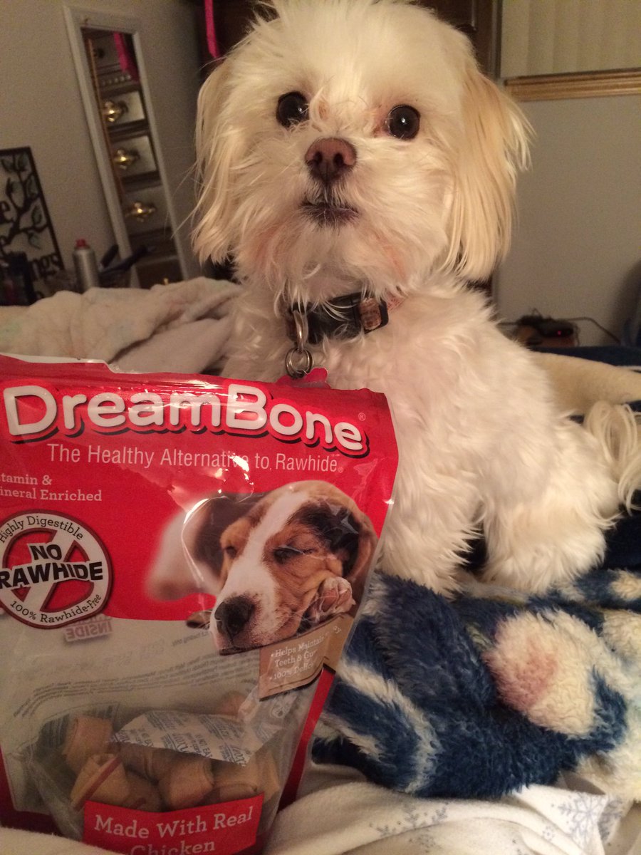 LilaPrincessAK's tweet photo. It's my birfday!!!   I'm free years old now!!  I woke up and got my yummy treat and now it's time for a nap!! https://t.co/0S97WviQE8